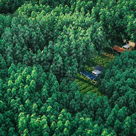 酒店 Tzaki & Restaurant