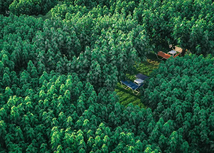 Hotel Tzaki & Restaurant