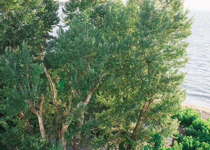 Ξενοδοχείο Tzaki & Restaurant Πάτρα